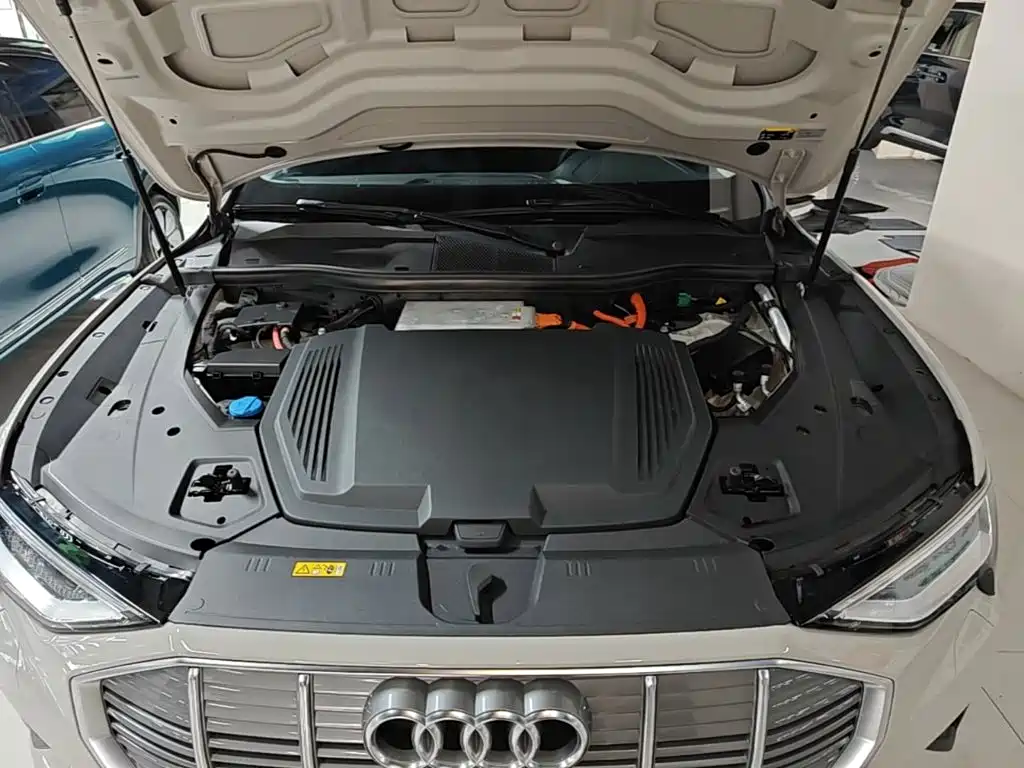 Audi e-tron (Import) — фото 20