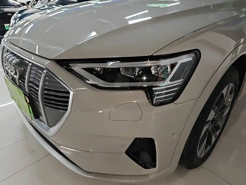 Audi e-tron (Import) — фото 24