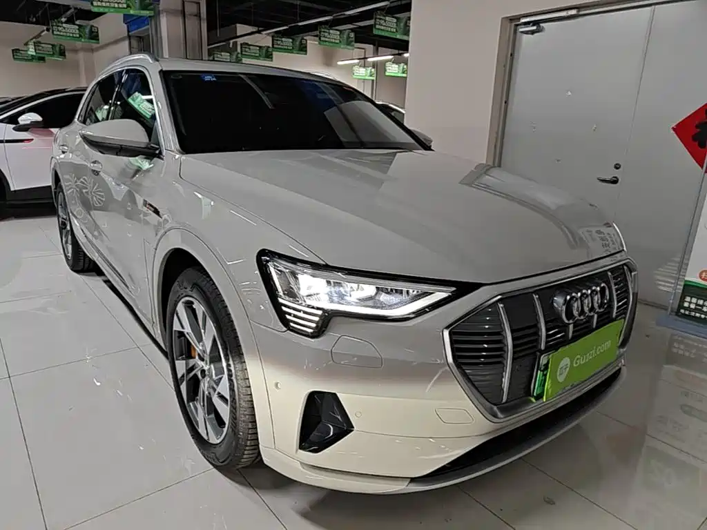 Audi e-tron (Import) — фото 4