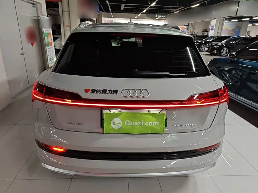 Audi e-tron (Import) — фото 6
