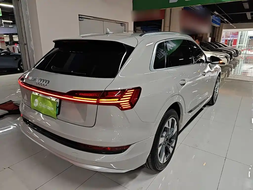 Audi e-tron (Import) — фото 7