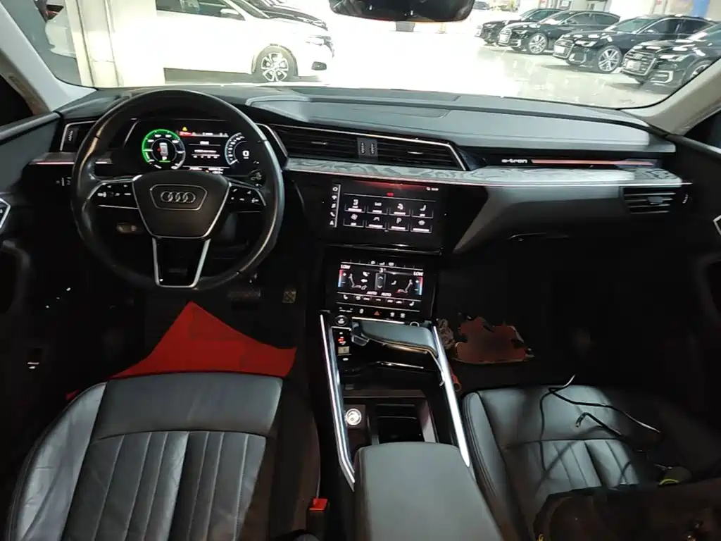 Audi e-tron (Import) — фото 10