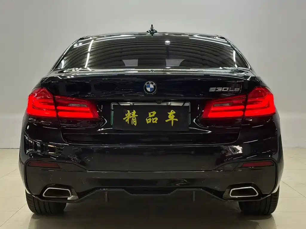 BMW 5 Series New Energy — фото 8