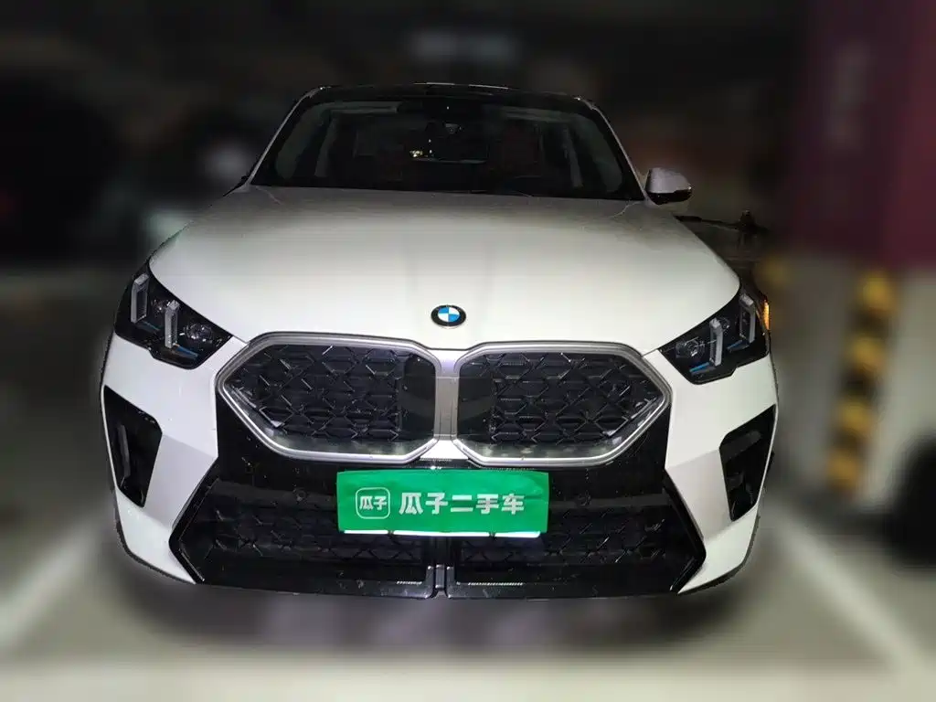 BMW X2 (Import) — фото 2