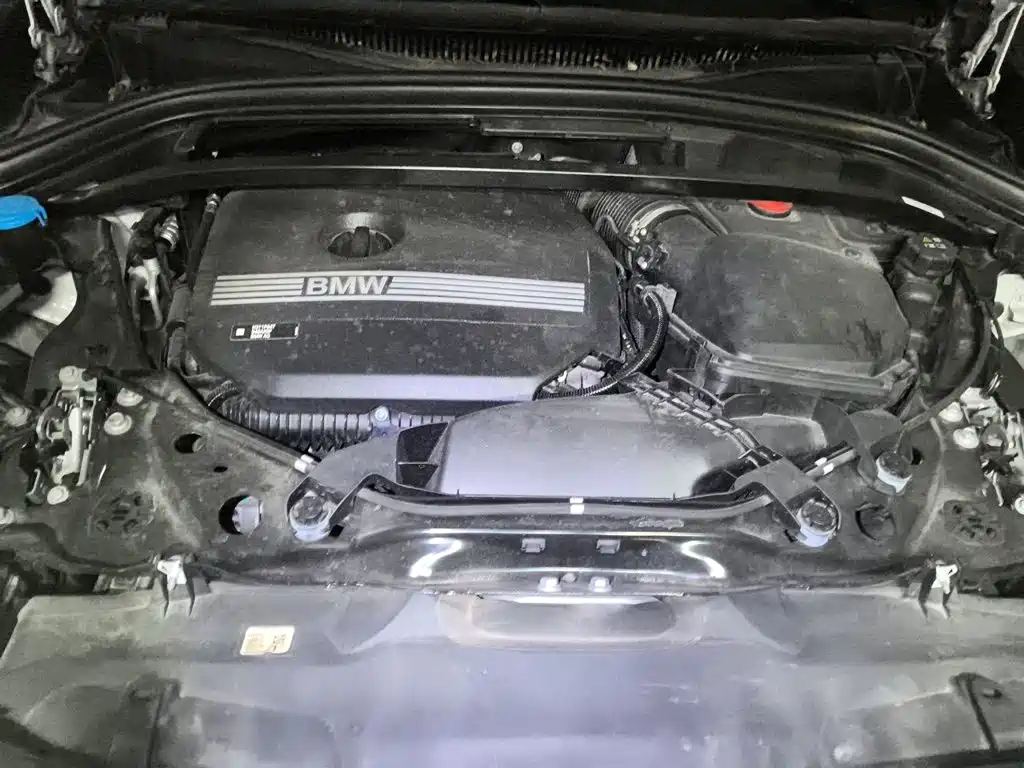 BMW X2 (Import) — фото 16