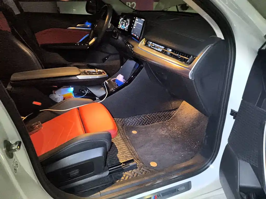BMW X2 (Import) — фото 19