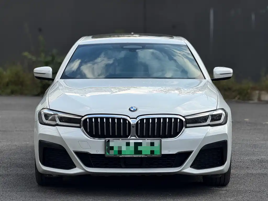 BMW 5 Series New Energy — фото 2
