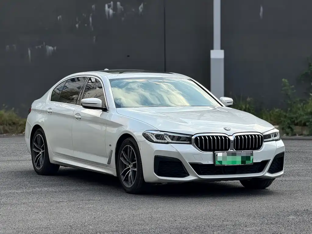 BMW 5 Series New Energy — фото 3