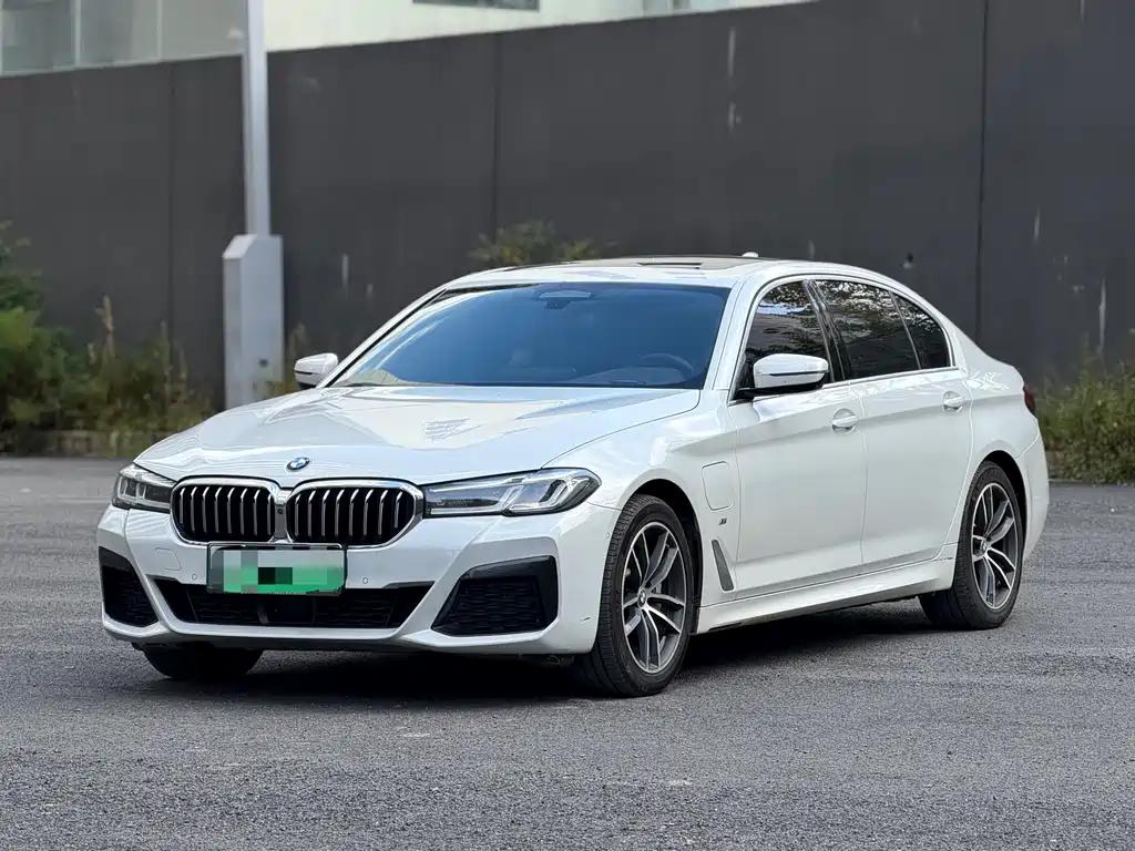 BMW 5 Series New Energy