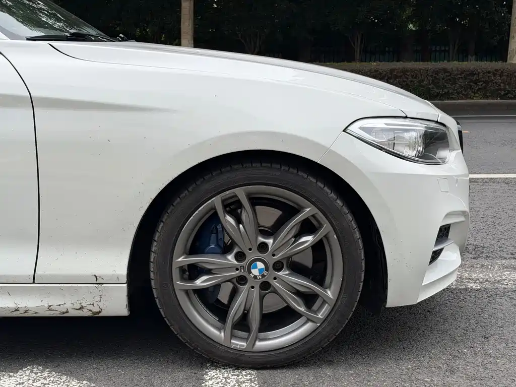 BMW 2 Series (Import) — фото 5