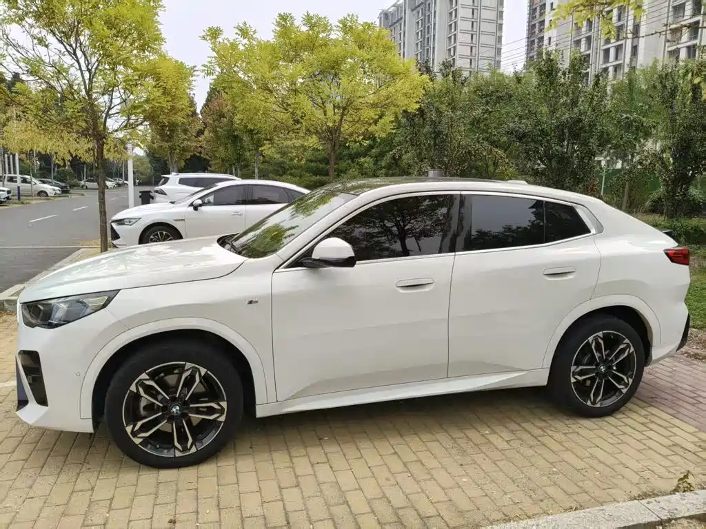 BMW X2 (Import) — фото 3