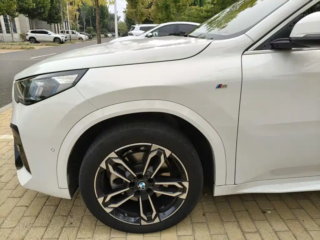 BMW X2 (Import) — фото 4