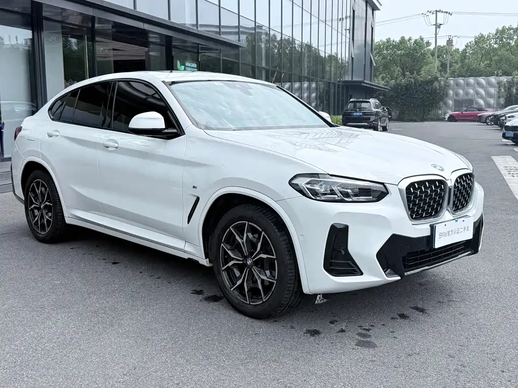 BMW X4 — фото 3