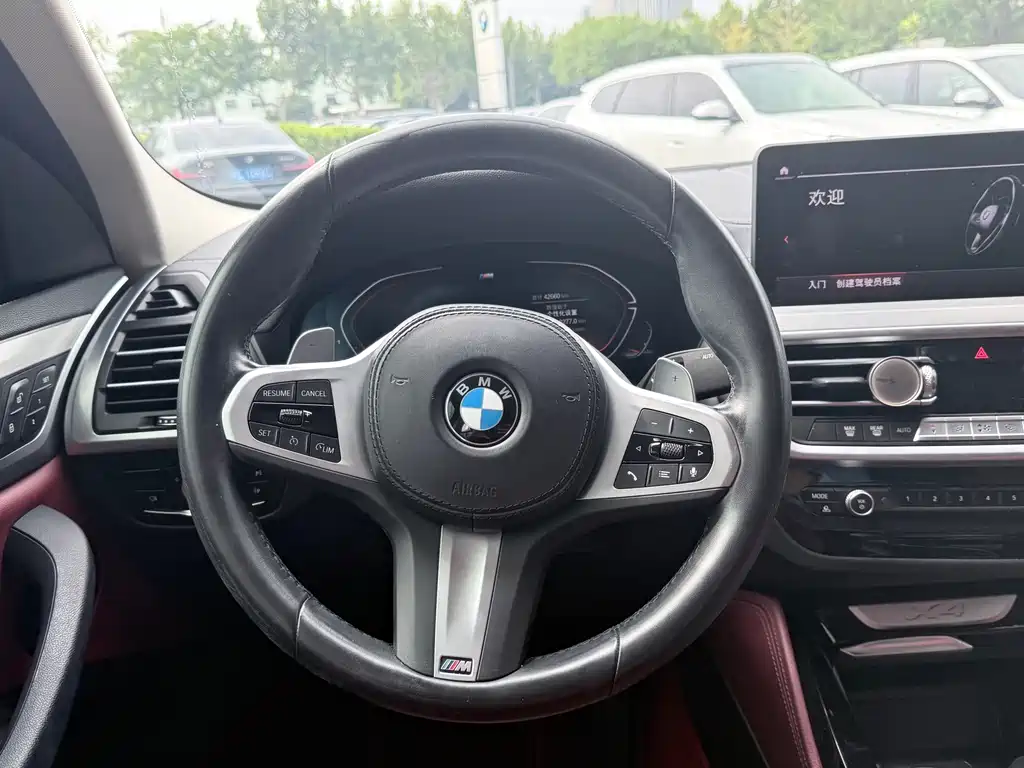 BMW X4 — фото 9