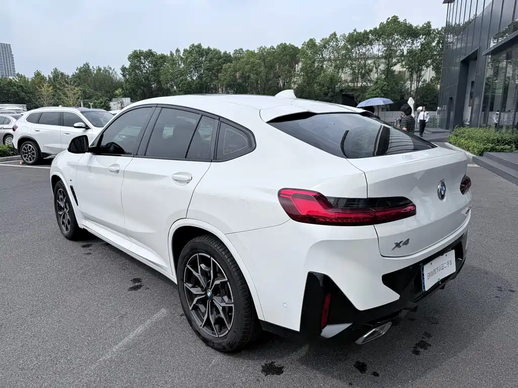 BMW X4 — фото 10