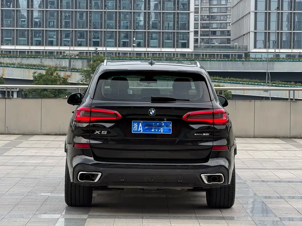 BMW X5 (Import) — фото 6