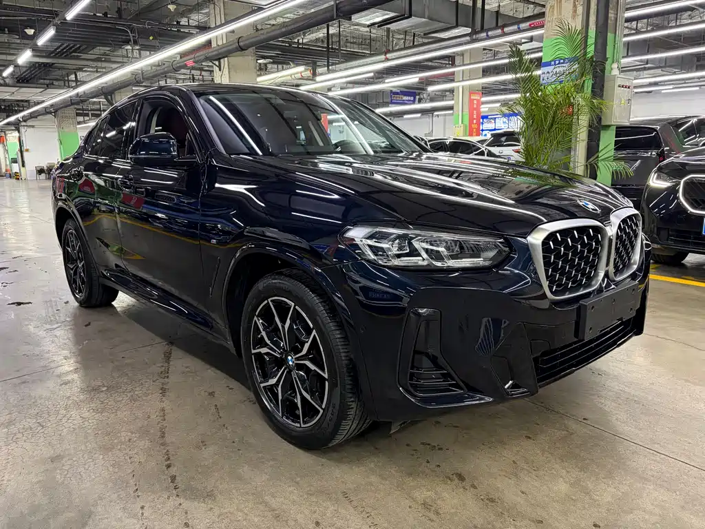 BMW X4 — фото 2