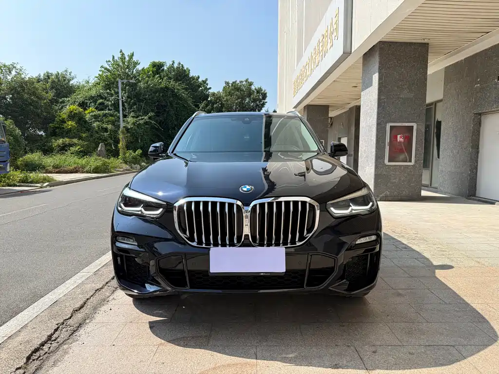 BMW X5 (Import) — фото 2