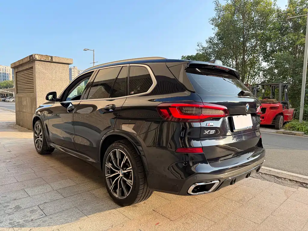 BMW X5 (Import) — фото 6