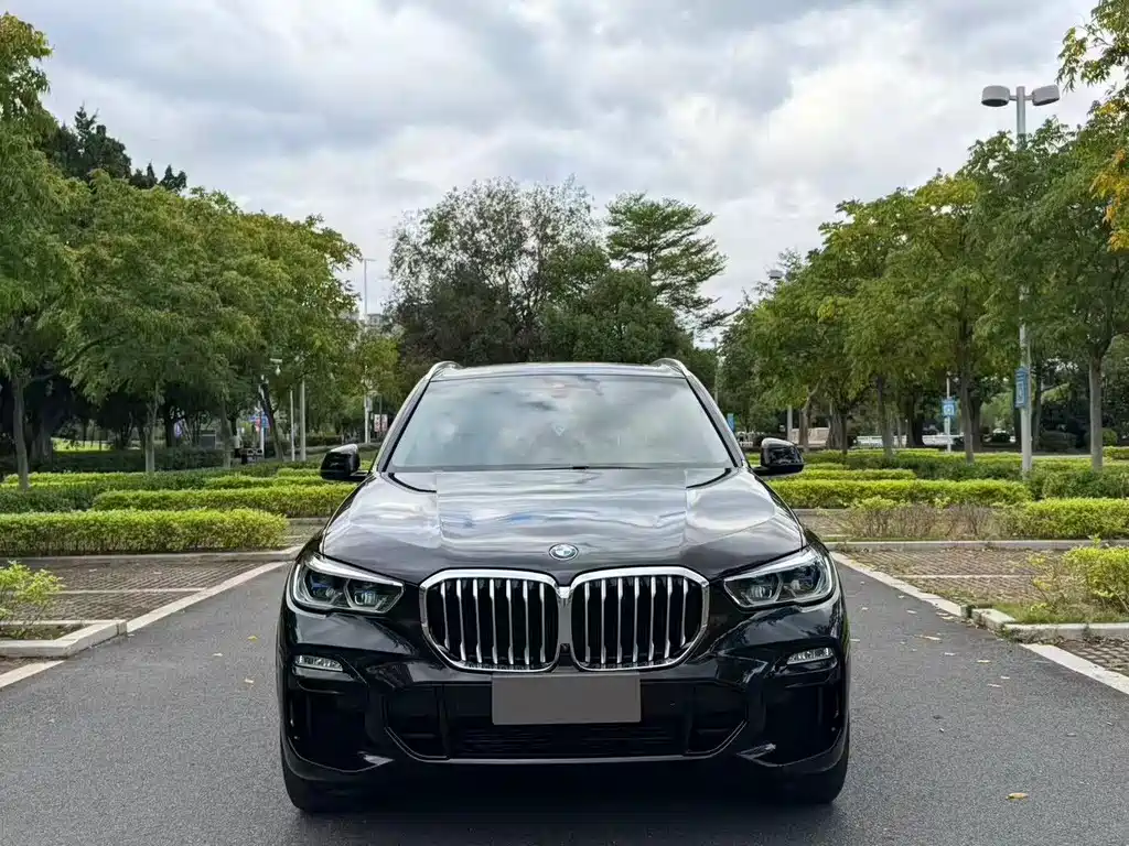 BMW X5 (Import) — фото 2