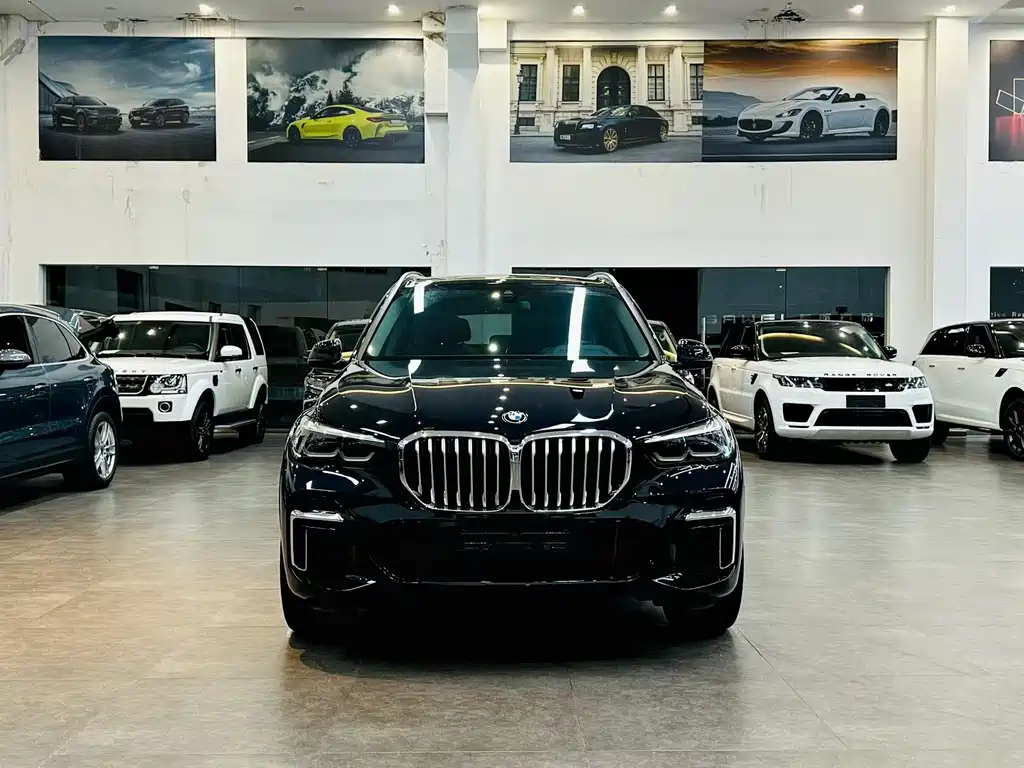 BMW X5 — фото 9