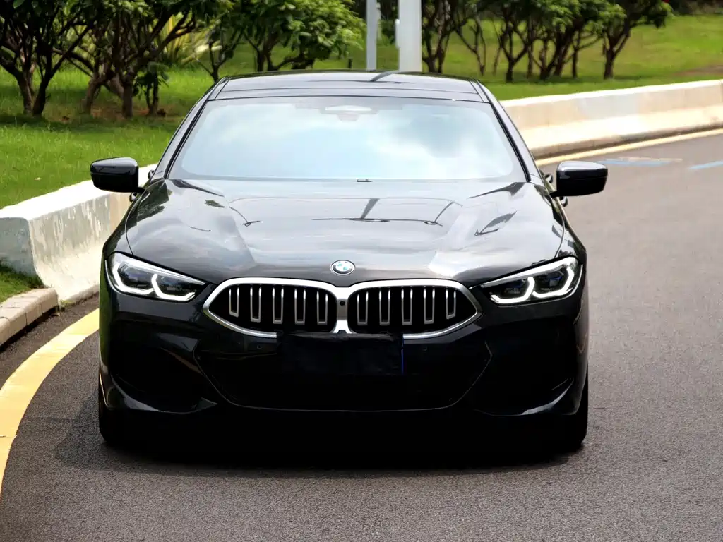 BMW 8 Series — фото 2
