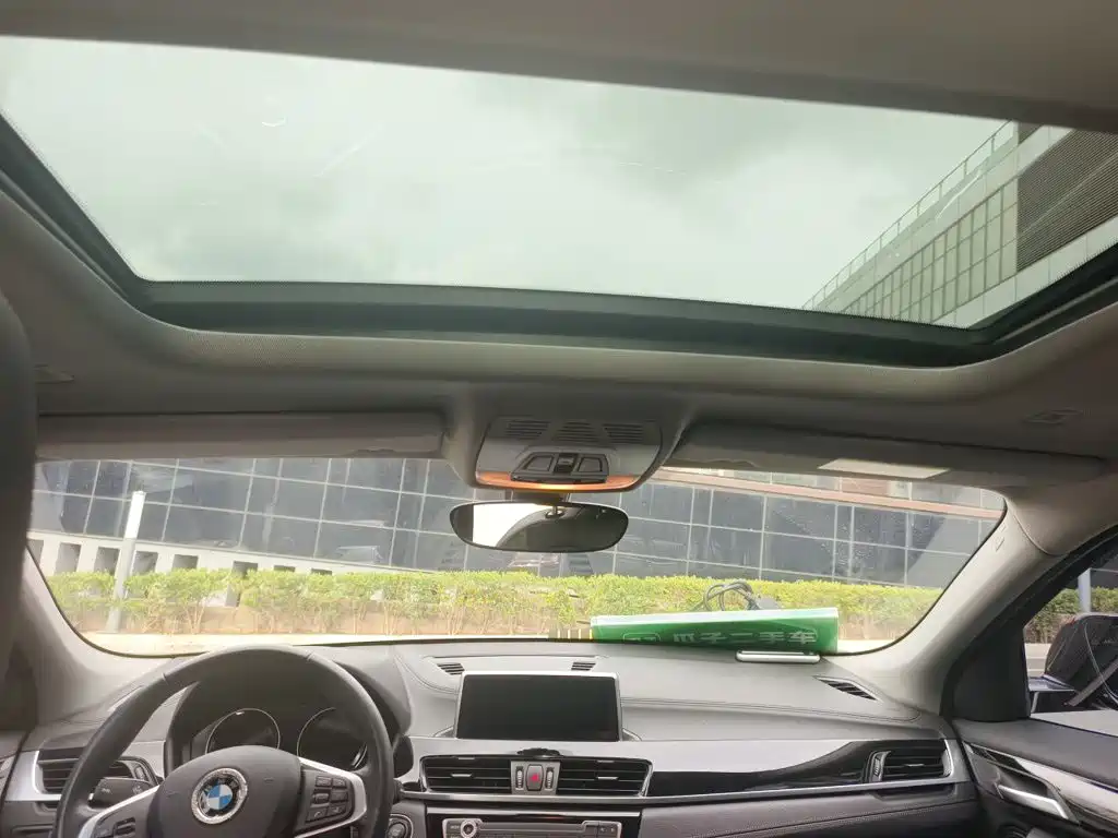 BMW X2 (Import) — фото 19