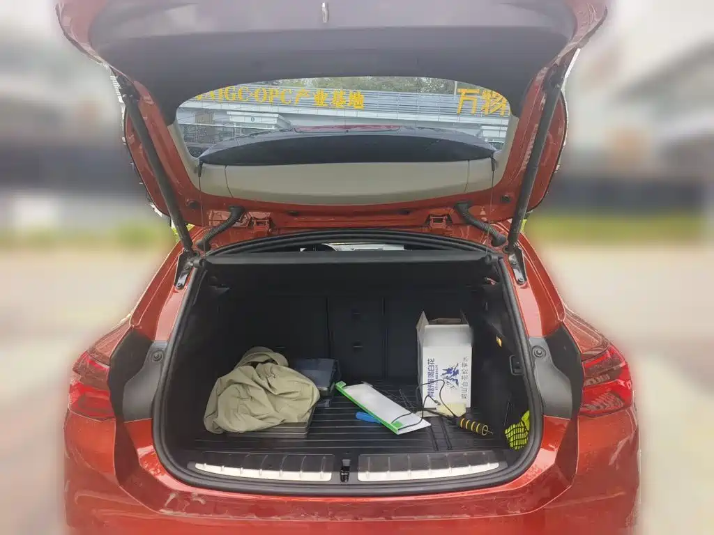 BMW X2 (Import) — фото 20