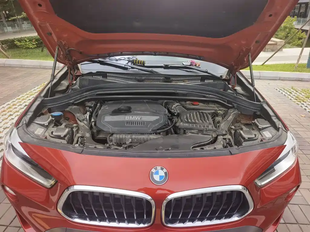 BMW X2 (Import) — фото 21