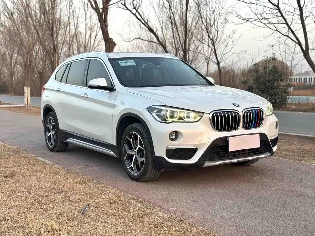 BMW X1 — фото 3