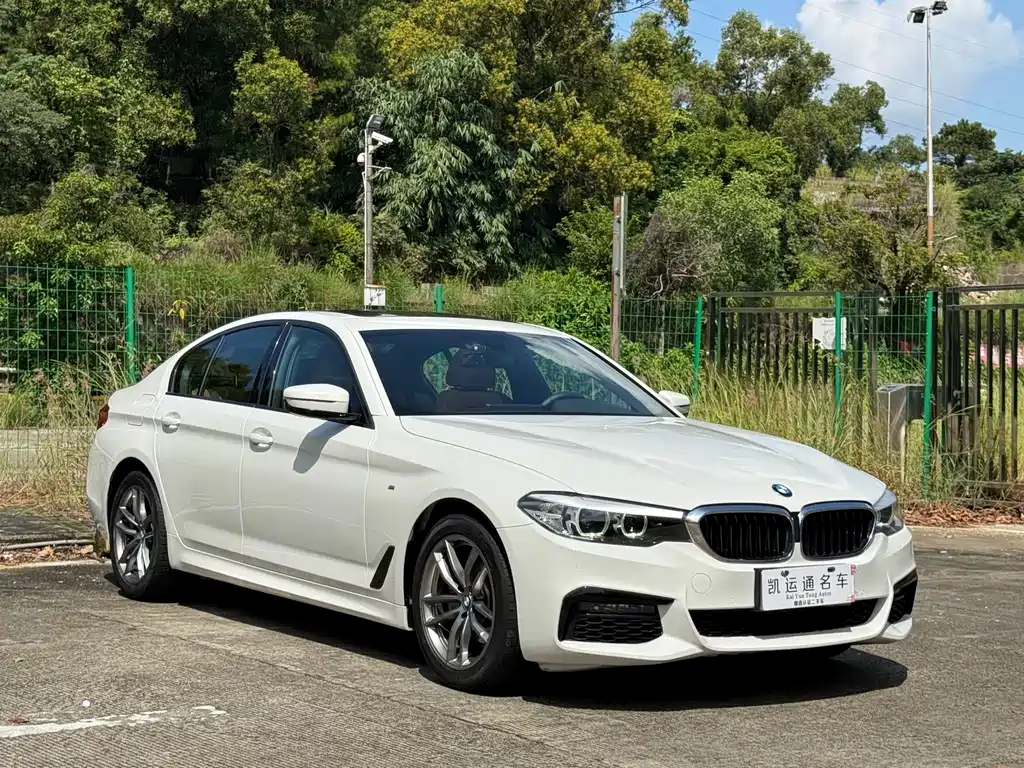 BMW 5 Series (Import) — фото 2