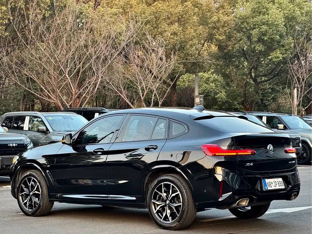 BMW X4 — фото 17