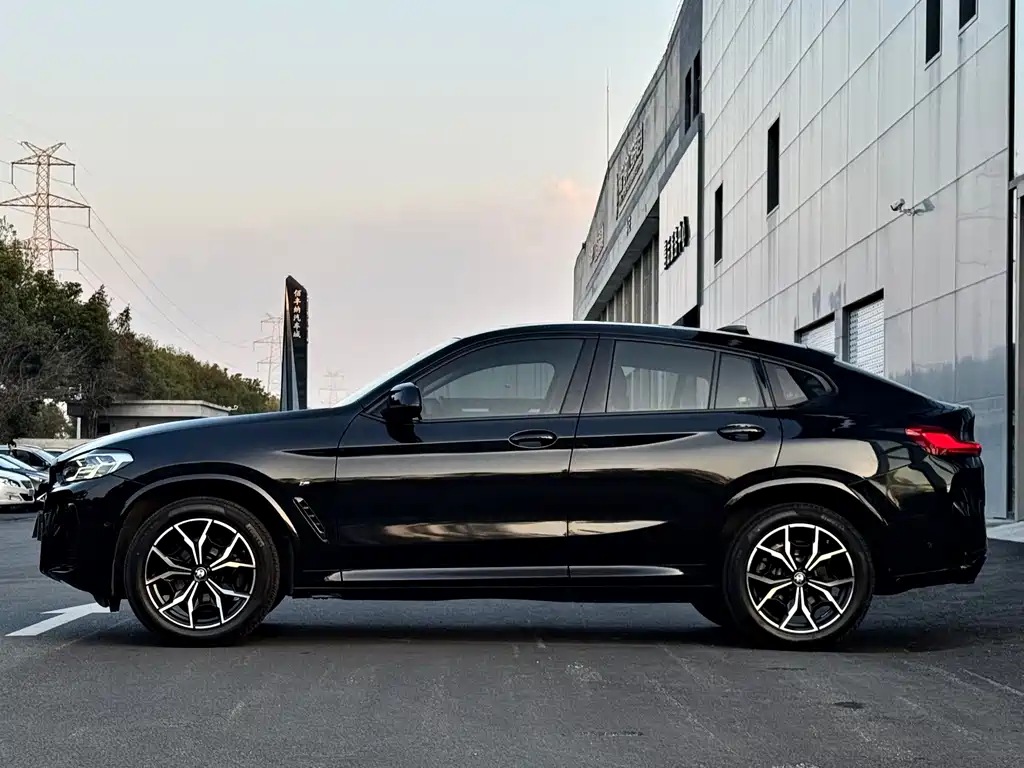 BMW X4 — фото 5