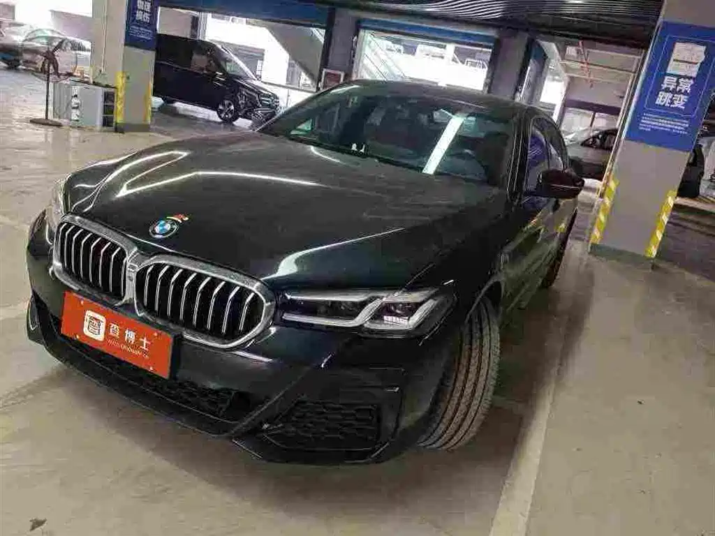 BMW 5 Series (Import)