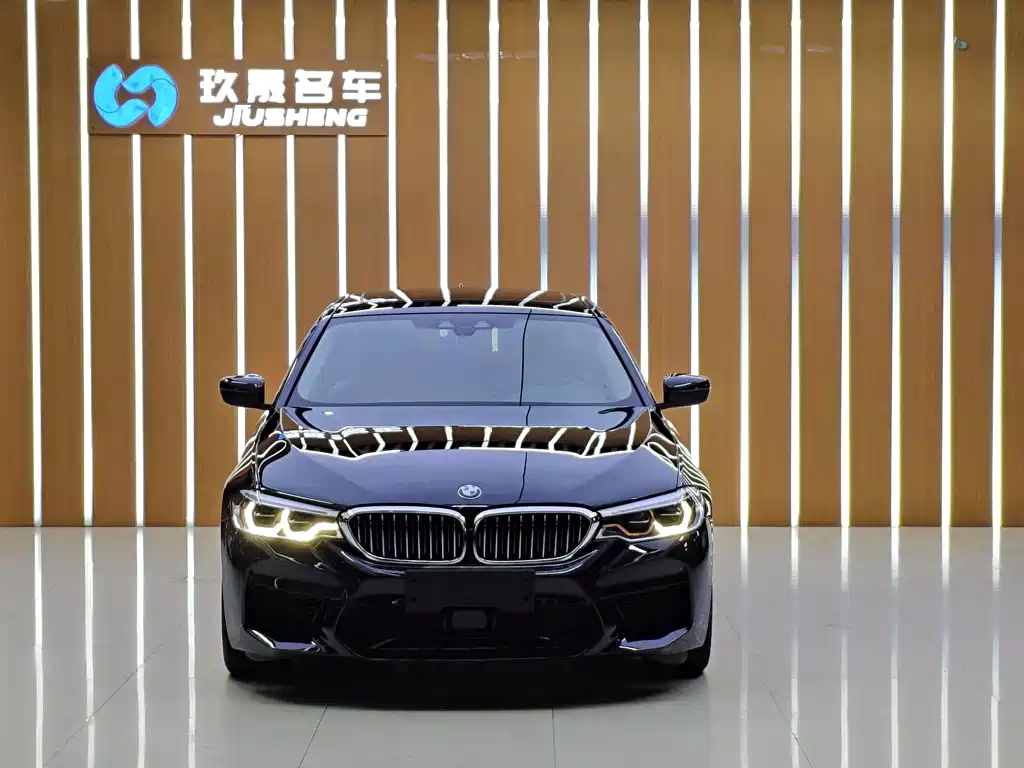 BMW 5 Series New Energy — фото 2