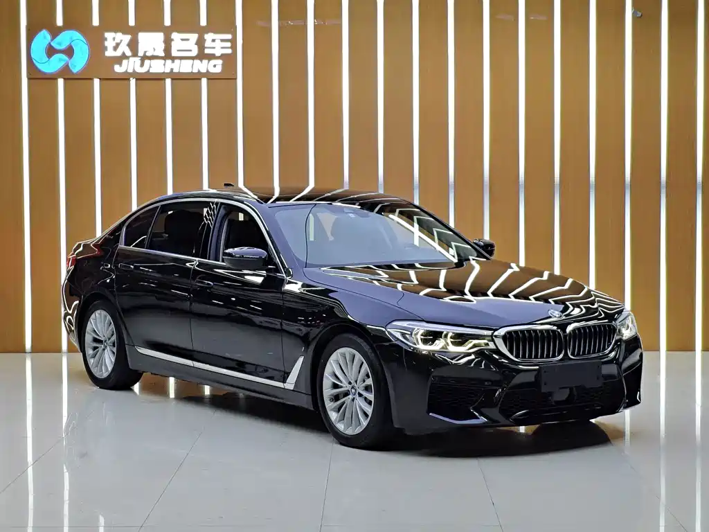 BMW 5 Series New Energy — фото 3