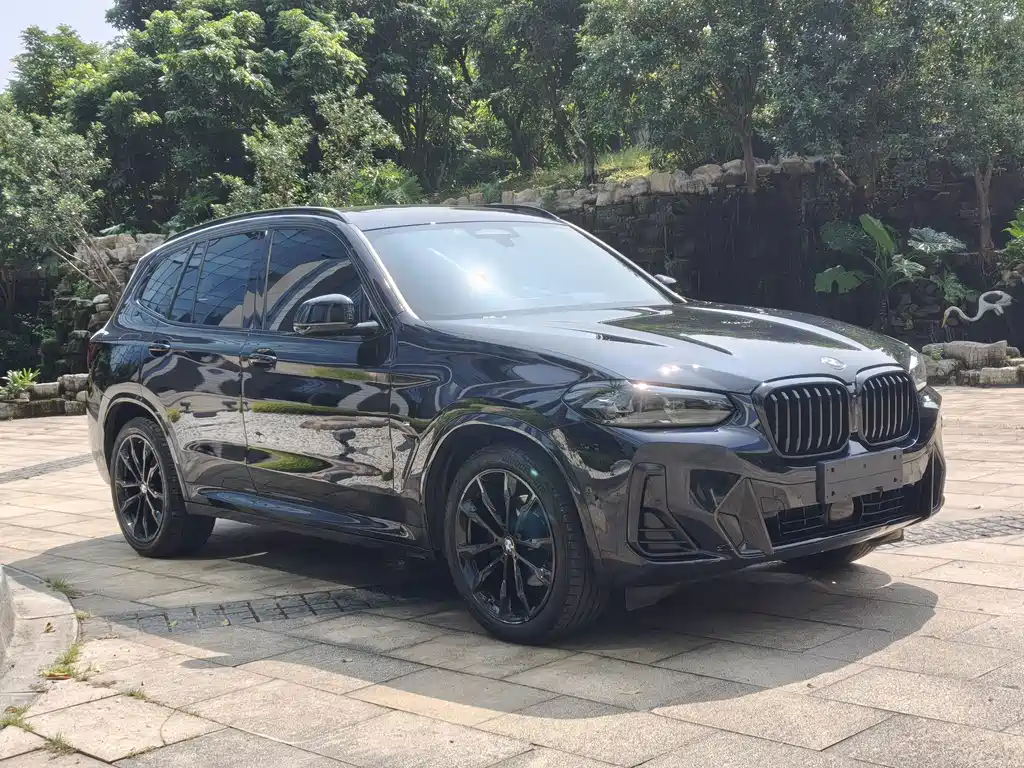 BMW X3 — фото 2
