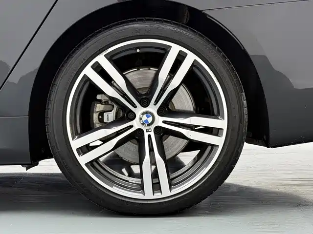 BMW 7 Series — фото 19