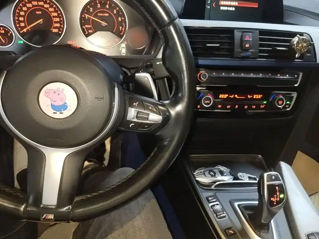 BMW 3 Series GT — фото 10