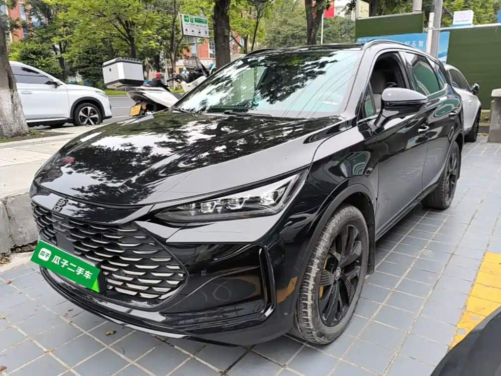 BYD Tang New Energy — фото 2