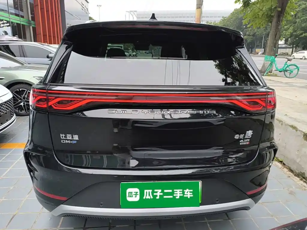 BYD Tang New Energy — фото 6