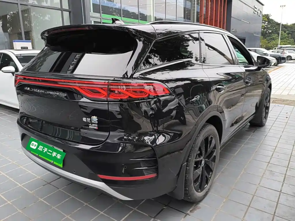 BYD Tang New Energy — фото 7