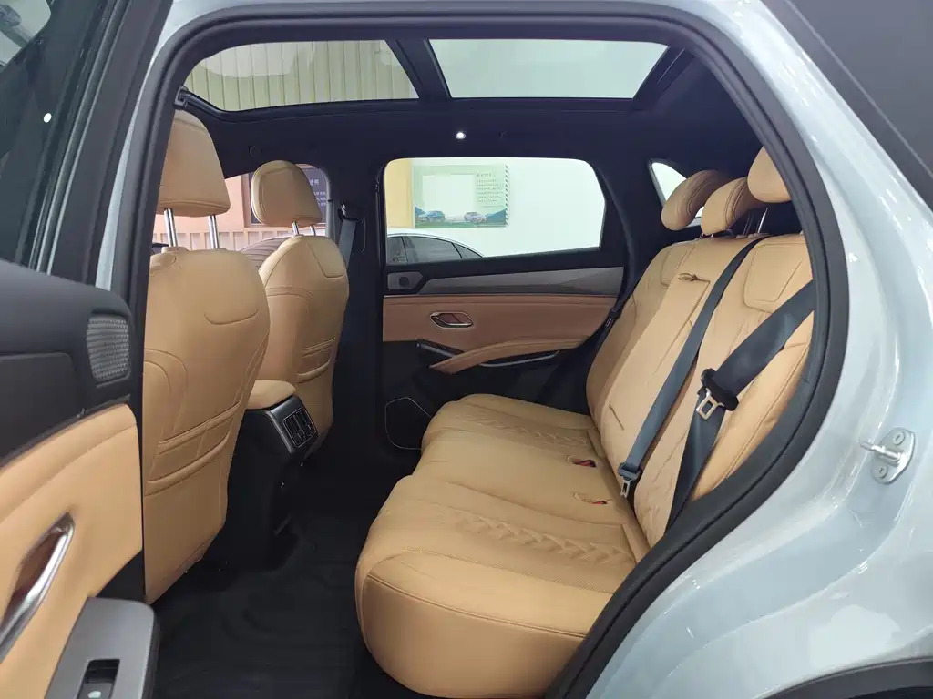 BYD L DM-i — фото 11