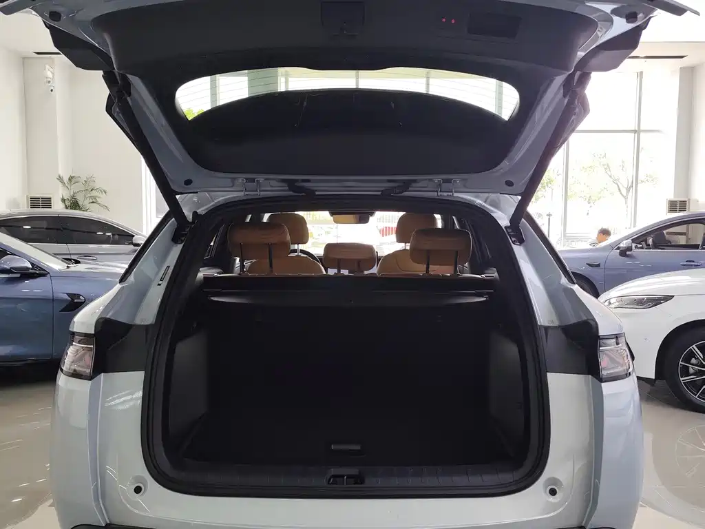 BYD L DM-i — фото 17