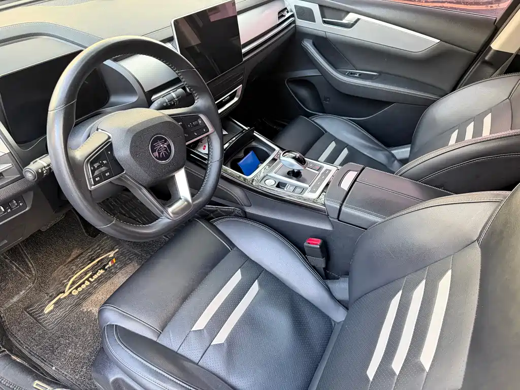 BYD Qin Pro NEV — фото 9