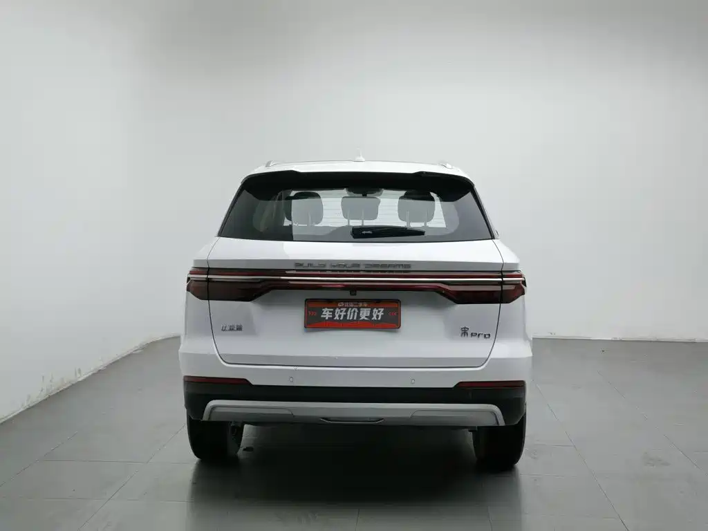 BYD Pro — фото 4