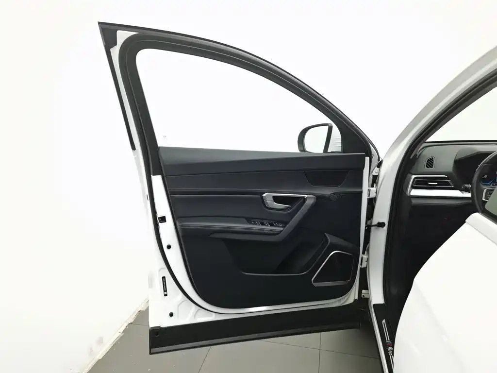 BYD Pro — фото 8