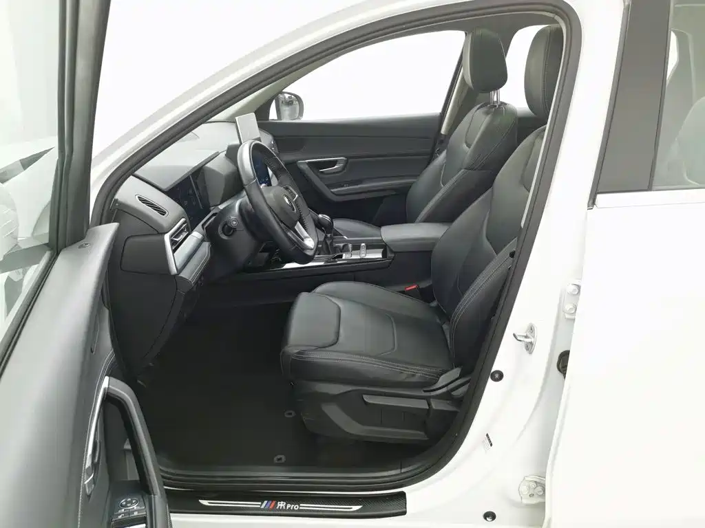 BYD Pro — фото 10