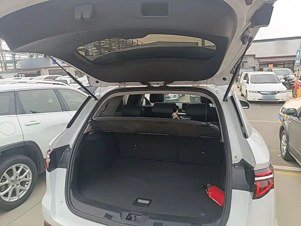 BYD Pro — фото 19