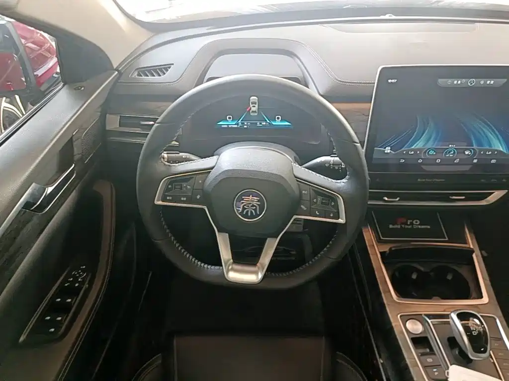 BYD Qin Pro NEV — фото 11